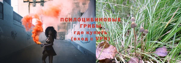 прущая мука Семёнов