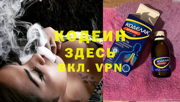 дживик Семилуки