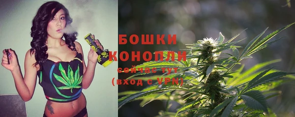 дурь Волосово